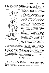 Рис. 88. <a href="/info/147982">Схема центробежного</a> прямоточного смесителя конструкции А. М. Ластовцева
