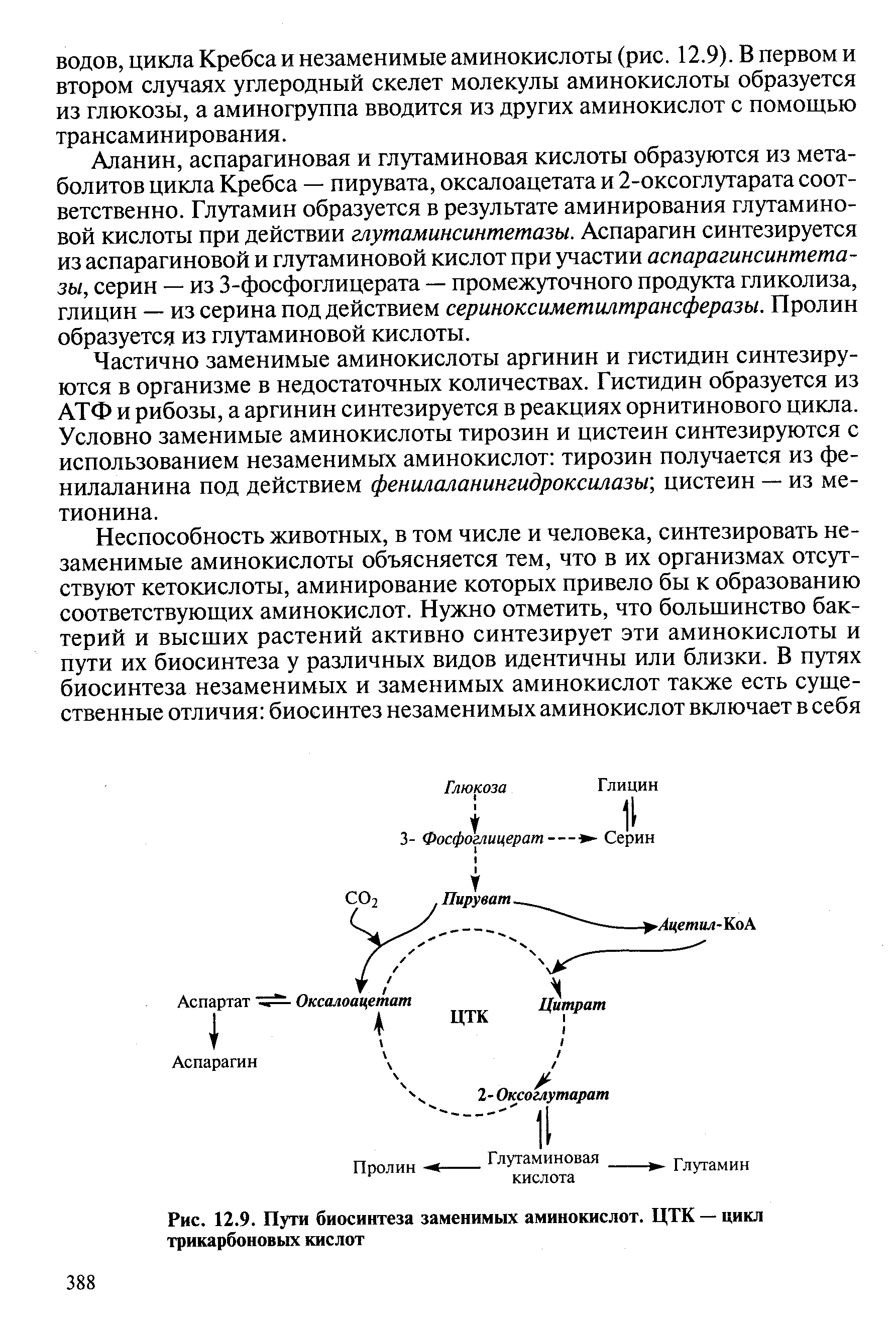 Общая схема синтеза заменимых аминокислот