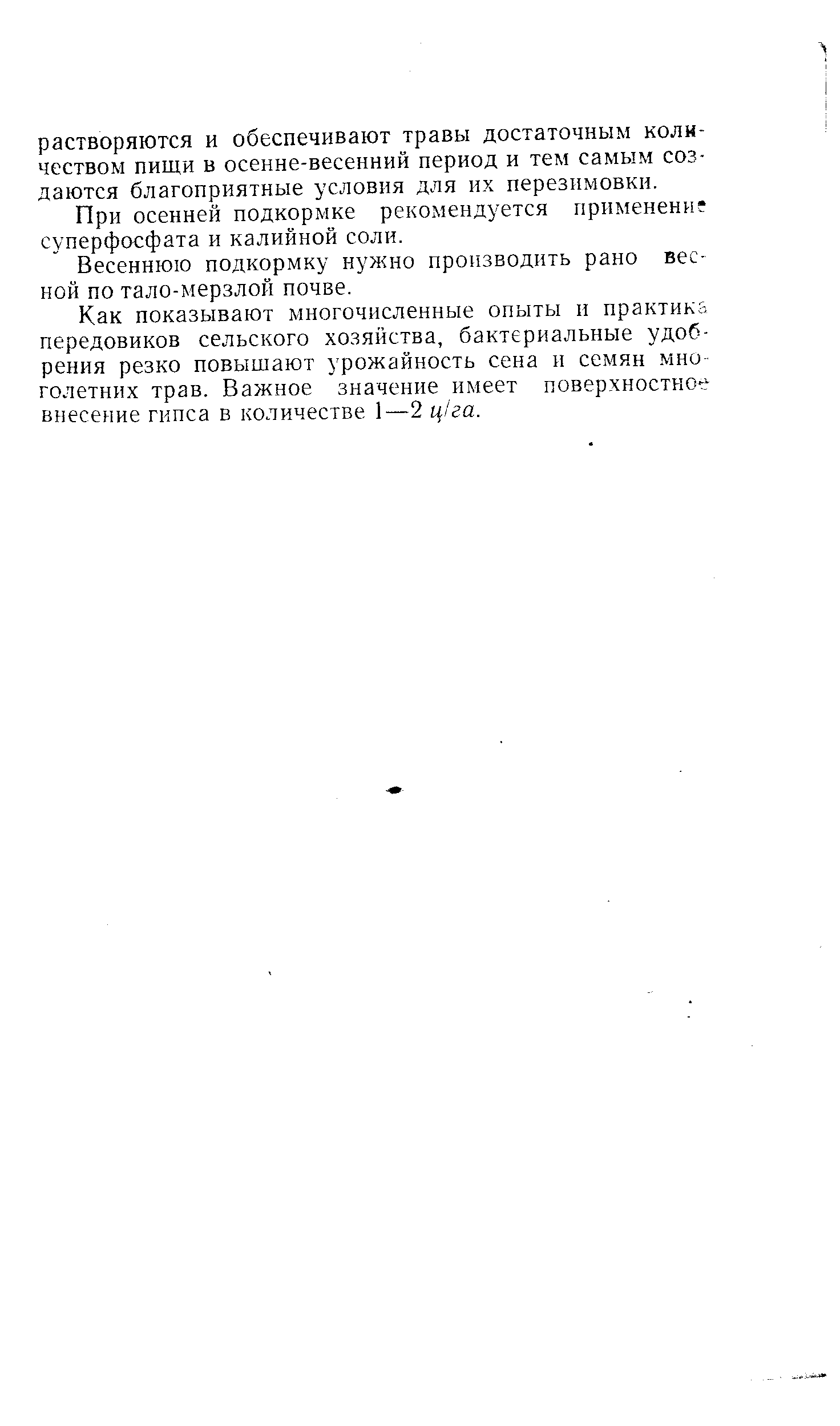 При осенней подкормке рекомендуется применени суперфосфата и калийной соли.