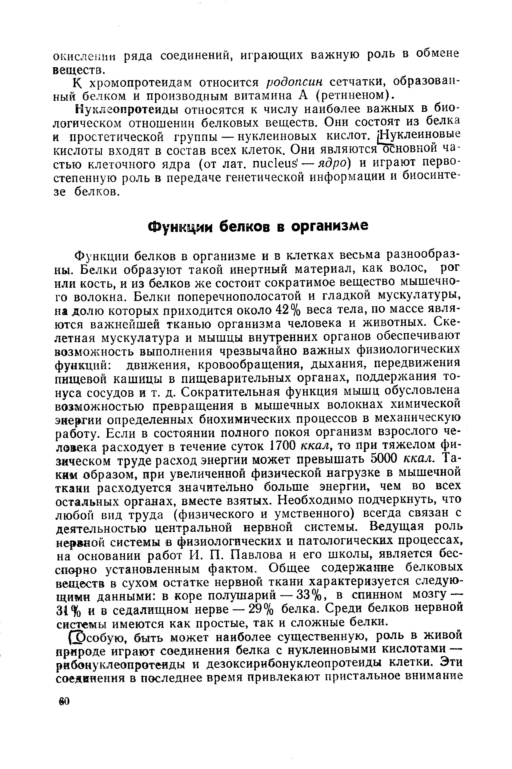 Функции белков в организме и в клетках весьма разнообразны. Белки образуют такой инертный материал, как волос, рог или кость, и из белков же состоит сократимое вещество мышечного волокна. Белки поперечнополосатой и гладкой мускулатуры, на долю которых приходится около 42% веса тела, по массе являются важнейшей тканью организма человека и животных. Скелетная мускулатура и мышцы внутренних органов обеспечивают возможность выполнения чрезвычайно важных физиологических функций движения, кровообращения, дыхания, передвижения пищевой кашицы в пищеварительных органах, поддержания тонуса сосудов и т. д. Сократительная функция мышц обусловлена возможностью превращения в мышечных волокнах химической энергии определенных биохимических процессов в механическую работу. Если в состоянии полного покоя организм взрослого человека расходует в течение суток 1700 ккал, то при тяжелом физическом труде расход энергии может превышать 5000 ккал. Таким образом, ири увеличенной физической нагрузке в мышечной ткани расходуется значительно больше энергии, чем во всех остальных органах, вместе взятых. Необходимо подчеркнуть, что любой вид труда (физического и умственного) всегда связан с деятельностью центральной нервной системы. Ведущая роль нервной системы в физиологических и патологических процессах, на основании работ И. П. Павлова и его школы, является бесспорно установленным фактом. Общее содержание белковых веществ в сухом остатке нервной ткани характеризуется следующими данными в коре полушарий— 33%, в спинном мозгу — 3I% ив седалищном нерве —29% белка. Среди белков нервной системы имеются как простые, так и сложные белки.