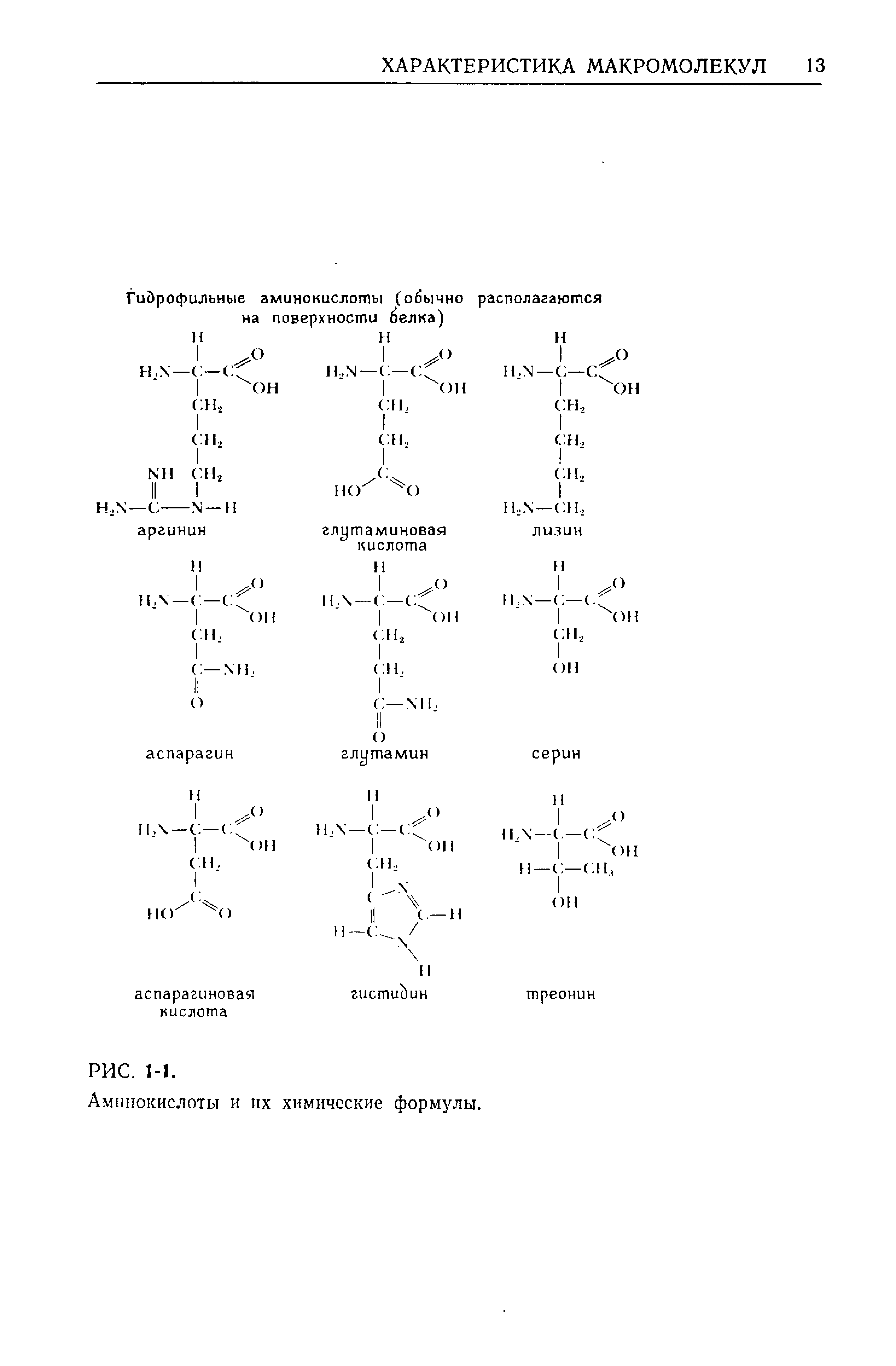Аминокислоты и их химические формулы.