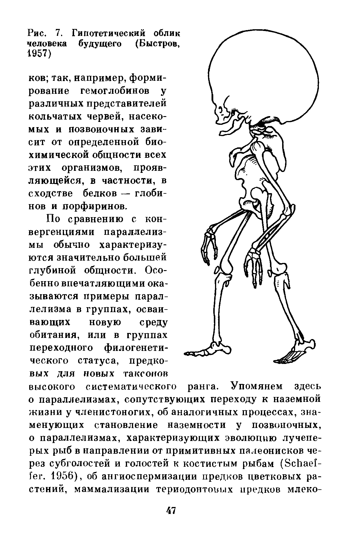 Гипотетический. Человек будущего характеристика. Ученые нарисовали человека будущего. Человек будущего. Быстрова.