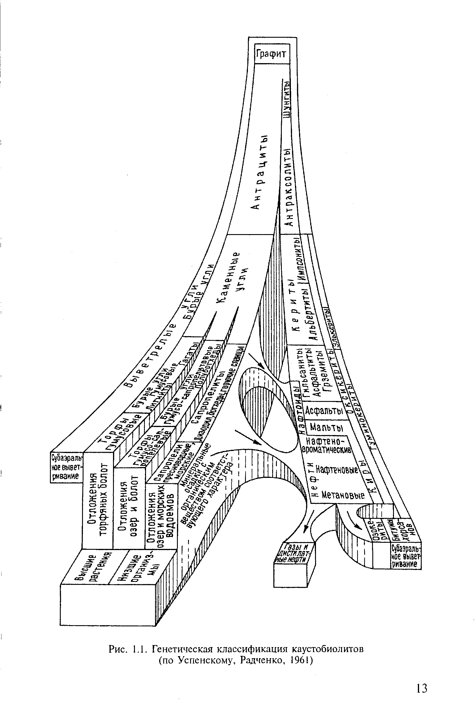 Генетическая классификация. Классификация по Успенскому и Радченко генетическая каустобиолитов. Генетическая классификация каустобиолитов. Генетическая классификация каустобиолитов по в а Успенскому. Классификация Успенского Радченко.
