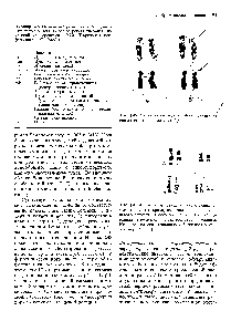 Таблица 2.5. <a href="/info/1355576">Номенклатурные символы</a>, дополнительные к тем, которые рекомендованы <a href="/info/1357151">Чикагской конференцией</a> (1966). (Парижская конференция, 1971 [468].)