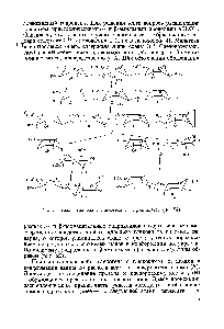 Рис. 20. <a href="/info/1535415">Схема гидролиза</a> гликогена а- и р-амилазой (по [54])