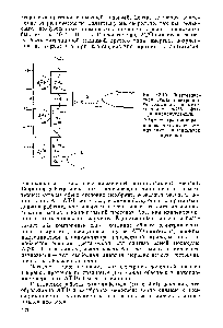 Рис. 13.10. <a href="/info/50639">Энергетическая схема электронного</a> транспорта в митохондриях ФМН — фла-винмононуклеотид,