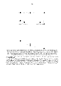 Рис. 5-85. Использование перекрывающихся фрагментов для картирования интересующего нас <a href="/info/1385486">гена путем</a> прогулки по хромосоме . Для того чтобы сократить время прогулки , наиболее пригодны <a href="/info/199963">геномные библиотеки</a>, содержащие очень <a href="/info/199905">крупные клонированные</a> молекулы ДНК. Зохвдом для каждого следующего клона служит короткий Р-фрагмент ДНК одного из концов предыдущего идентифицированного клона. Если, например, используется <a href="/info/574598">правый конец</a>, то и перемещение происходит вправо , как в случае, представленном на этом рисунке. <a href="/info/1324410">Короткий концевой</a> фрагмент удобен в качестве зонда еще и потому, что это снижает вероятность присутствия в зогще повторяющейся последовательности ДНК, которая могла бы гибридизоваться со многими клонами из <a href="/info/304621">разных частей</a> генома и тем самым прервать прогулку .