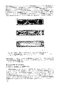 Рис. 20, Картины фотоупругости в блочном полиметилметакрилате 