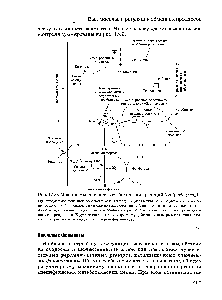 Рис. 15.9. <a href="/info/101243">Механизмы контроля метаболических реакций</a> (по Д. Мецлеру)