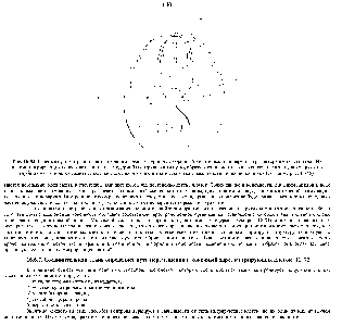 Рис. 16-83. <a href="/info/1062426">Главные пути</a> миграции клеток нервного гребня у <a href="/info/1375764">куриного эмбриона</a> (схематический нонеречный разрез <a href="/info/916048">средней части</a> тела). Из клеток, мигрирующих иепосредствеиио под эктодермой (<a href="/info/94513">поверхностный путь</a>), образуются пигмеитиые <a href="/info/1375767">клетки кожи клетки</a>, движущиеся по глубинному <a href="/info/508772">пути через</a> сомиты, дают начало сенсорным и <a href="/info/265776">симпатическим ганглиям</a>, и частично надпочечникам (см. также рис. 14-55).