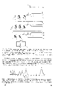 Рис. 55. Хроматограмма простых и <a href="/info/600268">сложных фосфорсодержащих</a> анионов, полученная в автоматическом <a href="/info/1434099">варианте метода</a> анионообменной хроматографии [26] 