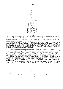 Рис. 3-11. <a href="/info/102645">Полуконсервативная репликация</a> ДНК. В каждом <a href="/info/1901090">цикле репликации</a> каждая из <a href="/info/1696521">двух</a> цепей ДНК используется в <a href="/info/1321278">качестве матрицы</a> для <a href="/info/73726">образования новой</a> <a href="/info/509747">комплементарной цепи</a>. Поэтому на протяжении многих клеточных поколений исходные цепи сохраняют свою целостность.