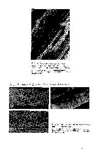 Рис. 2. Микрофотографии деформированных кристаллов а — X 50 б — X 500(<a href="/info/454750">интерференционная микроскопия</a>), в — X 2000 (<a href="/info/1835189">кристалл после</a> травления).
