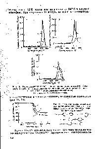 Рис. 14. Термогравиметрический анализ полипиромеллитимидов в <a href="/info/189093">атмосфере сухого</a> гелия (<a href="/info/128697">скорость нагревания</a> — 3 град мин) . 