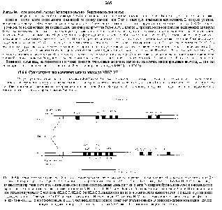 Рис. 18 8. <a href="/info/32801">Схема генных</a> комплексов Н-2 и HLA, показано расположение локусов, кодирующих гликопротеины МНС класса I (красные участки) и класса П (черные участки) Существуют три типа гликопротеинов класса I (Н-2К, H-2D и H-2L у мыши, HLA-A, HLA-B и HLA- у человека), каждый гликопротеин состоит из а-цепи, кодируемой одним из показанных здесь локусов, и цепи -микроглобулина, кодируемой геномв <a href="/info/1668794">другой хромосоме</a> У мыши имеются два типа гликопротеин ов МНС класса II-H-2A и Н-2Е, каждый из них состоит из а-цепи и р-цепи <a href="/info/1728206">Показаны только</a> три <a href="/info/400560">типа молекул</a> класса П человека -HLA-DP, HLA-DQ и HLA-DR (каждая состоит из а- и р-цепи), хотя имеются еще по меньшей мере один или два <a href="/info/1455878">других типа</a> Молекулы DP и DR человека гомологичны Н-2Е мыши, а DQ человека Н-2А мыши Все эти локусы сильно полиморфны, за, исключениет л H-2F и его гомологов DP и DE у человека, полиморфизм которых значительно меньше В <a href="/info/1277820">генном комплексе</a> есть и <a href="/info/1633379">много других</a> лою/сов, продукты которых сходны с молекулами МНС класса I, однако их функции не известны