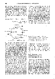 Рис. 16-18. <a href="/info/78111">Глиоксилатный цикл</a>. Красным выделены реакции, катализируемые <a href="/info/99722">изоцитрат-лиазой</a> (ее называют также изоцитратазой) и малат-синтазой. Все остальные реакции те же, что и в <a href="/info/71266">цикле лимонной</a> кислоты.