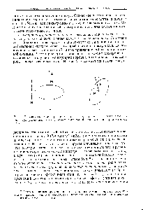 Рис. 9. 7. Взаимодействие ироекиий спина и <a href="/info/68457">орбитального углового момента</a> лля <a href="/info/1696521">двух</a> <a href="/info/150201">различныл молекулярных</a> ориентаций относительно ири.юженного поля.