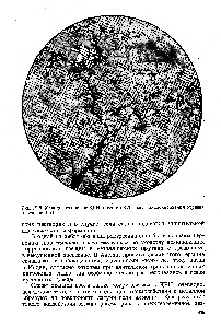 Рис. 19.5. Межкристаллитное КРН латуни (Х75 после экспонирования образца в течение 1 г)