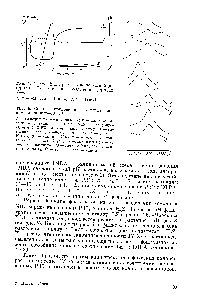 Рис. 6. <a href="/info/2753">Спектры поглощения</a> в системе неодим—катионит—IMDA