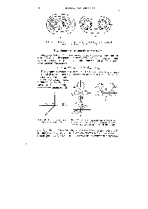 Рис. 33. Контурная <a href="/info/1020798">диаграмма распределения электронной плотности</a> молекул СО (а) и N2 (б)