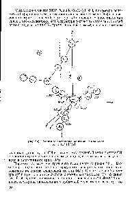 Рис. 9-6. <a href="/info/1346113">Взаимное расположение</a> атомов в молекуле К [Си(СК )21 [47].