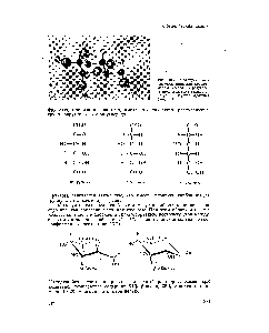Рис. 13.2. Молекула а-О-глюкозы, имеющая <a href="/info/74710">конформацию кресла</a>. В результате полимеризации <a href="/info/1788940">таких молекул</a> образуется крахмал (разд. 14.6),