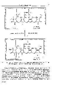 Рис. 5 16 Предполагаемая <a href="/info/24503">модель комплекса</a> тетрапиррол — белок в Реформе фитохрома и механизм его превращения в Р(г-форму.