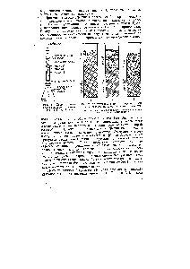 Рис. 1. Хроматограмма хлорофилловых пигментов по М. С. Цвету
