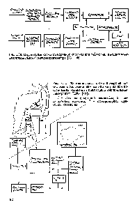 Рис. 1.30. <a href="/info/24140">Структурная схема</a> <a href="/info/191152">электронной системы</a> для подавления внешней помехи пятиканапьного сквид-магнитометра [73, с. 46]