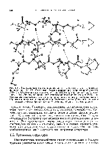 Рис. 6.14. <a href="/info/74803">Молекулярная модель</a> параллельного складчатого листка в молекуле флаводоксина (гл. 13). Стрелками показано <a href="/info/629629">направление полипептидной цепи</a> (от ЙНг- до СООН-концевого остатка) в трех сегментах, образующих складчатый листок. Все обозначения аналогичны использовавшимся ранее (см. рис. 6.13). Параллельные складчатые листки, как правило, находятся внутри <a href="/info/284598">глобулы белка</a> и образуются остатками с <a href="/info/235104">гидрофобными боковыми цепями</a>. (<a href="/info/1646349">Значения координат</a> атомов любезно предоставлены М. Людвиг, рисунок — Д. Ричардсон.)