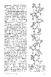 Рис. 92. Фрагмент -спирали <a href="/info/19563">белковой молекулы</a> (по Паулингу и Корею) Ход спирали отмечен жирной линией, пунктирные линии—водородные связи.
