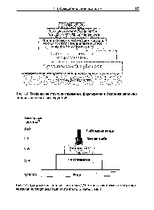 Рис. 1.3. <a href="/info/1352918">Трофическая структура</a> (пирамида), формируемая в биопленке капельных биофильтров очистных сооружений.