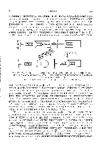 Рис. 2.1. Схема биоспецифической адсорбции (Л), элюирования деформирующим <a href="/info/4682">буферным раствором</a> (5) и биоэлюнрования растворимым конкурентным лигандом (В) [17].