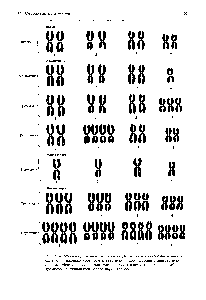 Рис. 21.4. Анеуплоидией называется ситуация, когда в <a href="/info/700825">хромосомном наборе</a> одна или несколько хромосом отсутствуют, либо, наоборот, присутствуют лишние. Моноплоидией называется наличие в клетке лишь одного набора хромосом, полиплоидией - более <a href="/info/1696521">двух</a> наборов.