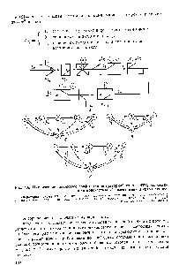 Рис. 4.6. <a href="/info/63769">Циклические потоковые графы</a> для <a href="/info/1009476">операторной схемы</a> БТС, включающей подсистемы ферментация и разделение 