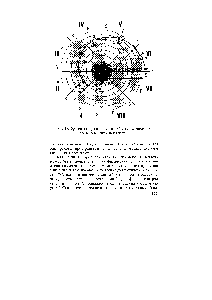Рис. 17. Фрагмент <a href="/info/756478">спиральной модели</a> <a href="/info/88948">Системы химических элементов</a> (центральная часть)