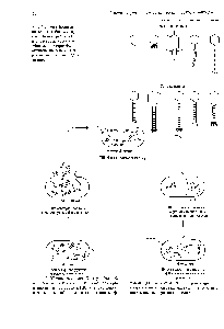 Рис. 1.2. Морфология нескольких бактериофагов. Видны различия в <a href="/info/1324252">сложности строения</a>. Многие бактериофаги активно используются в генетических исследованиях.