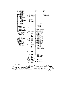 Фиг. 12. <a href="/info/98321">Генетическая карта</a> хромосом дрозофилы, составленная в 1926 г.
