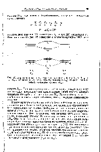 Рис. 16. Корреляционная <a href="/info/1673455">диаграмма молекулярных орбиталей</a> для ЗНа -> ЗНа с <a href="/info/5967">активированным комплексом</a> Не симметрии Dgf <a href="/info/1503359">сохраняются элементы</a> симметрии группы