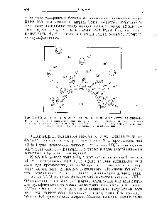 Рис. 4.5. <a href="/info/153095">Схема концентрирования</a> соли около <a href="/info/3662">коллоидных частиц</a> кремнезема.