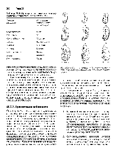 Таблица 26.5. Примеры параллельной эволюции у сумчатых и плацентарных млекопитающих