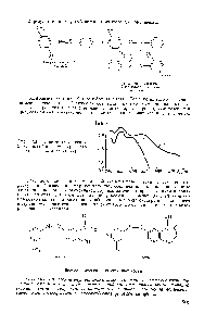 Рис. 153. <a href="/info/201589">Кривые поглощения</a> 2-фенилазо-4-крезола (/) и его медного комплекса (2).