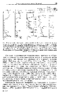 Рис. 5.9. Климатические кривые для позднего плейстоцена и голоцена, построенные на <a href="/info/481821">основании анализа</a> континентальных н <a href="/info/175545">морских отложений</a> (Roberts, 1984). Цифрами со <a href="/info/1451465">стрелками обозначен</a> <a href="/info/97141">возраст отложений</a> в тыс. лет, цифры в скобках означают, что <a href="/info/97141">возраст отложений</a> определен приблизительно. А. <a href="/info/1418238">Северо-атлантическая</a> <a href="/info/1416253">океаническая земная кора</a> V 28—14 Б. Озеро Клир-Лейк, Калифорния В. Гранд-Г1иль, Франция Г. <a href="/info/1418238">Северо-атлантическая</a> океаническая