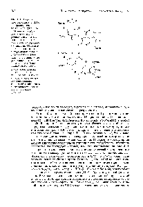 Рис. 4.10. <a href="/info/18985">Пара оснований</a>, связанных в ДНК <a href="/info/917">водородной связью</a>. Аденин образует пару с ТИМИНОМ посредством <a href="/info/1696521">двух</a> <a href="/info/917">водородных связей</a>, а гуанин связан с цитозином тремя <a href="/info/917">водородными связями</a>. Обратите внимание на то, что <a href="/info/917">водородными связями</a> соединяются пурины (аденин и гуанин) с пи-<a href="/info/920291">римидинами</a> (тимином и цитозином). <a href="/info/917">Водородные связи</a> много слабее ковалентных, соединяющих отдельные атомы каждого нуклеотида, но достаточно сильны для того, чтобы обеспечить специфичность образования пар А—Т и О—С.