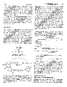 Таблица 9.2. <a href="/info/618083">Общий баланс</a> окисления одной молекулы глюкозы при <a href="/info/68126">аэробном дыхании</a>. Напоминаем, что для окисления одной молекулы глюкозы требуются два оборота цикла Кребса