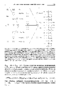 Рис. 8.4.7. Схематическое представление двухкваитовых спектров слабо связанных трехспиновых систем <a href="/info/50308">типа</a> линейных АМХ (Лх = 0) и симметричных АгХ. Предполагается, что использованы одиночный смешивающий импульс с углом поворота /3 и комплексное <a href="/info/65442">фурье-преобразование</a> по и что все двухквантовые когерентности возбуждены первоначально <a href="/info/325752">однородно</a> с одинаковыми фазами (в действительности это трудно выполнимо экспериментально). Большие квадраты соответствуют интенсивным сигналам для <a href="/info/1013128">углов</a> поворота О < 3 < т/2. Штриховые линии указывают косые диагонали ал = 2ал. Все сигналы имеют сложную форму, описываемую выражением (6.5.10). (Из работы 18.8].)