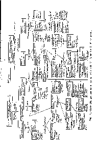 Рис. 79. Схема для распознавания удобрений (по М. М. Гуковой и X. К. Асарову).