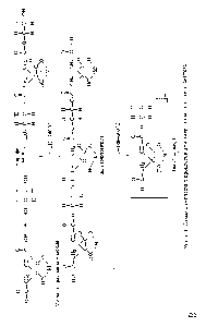 Рис. 6.1. Схема химических процессов при цитратном золь—гель-синтезе