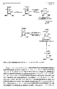 Рис. 4.10. Реакции ди-О-метил-Ь-аскорбиновой кислоты.