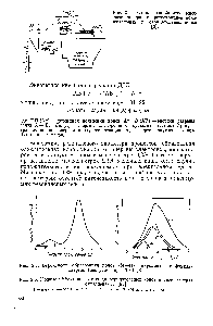 Рис. 2.2. <a href="/info/363014">Вероятность образования ионов</a> (М—Н)- пиридина как <a href="/info/105284">функция энергии</a> электронов при ДЗЭ [3].